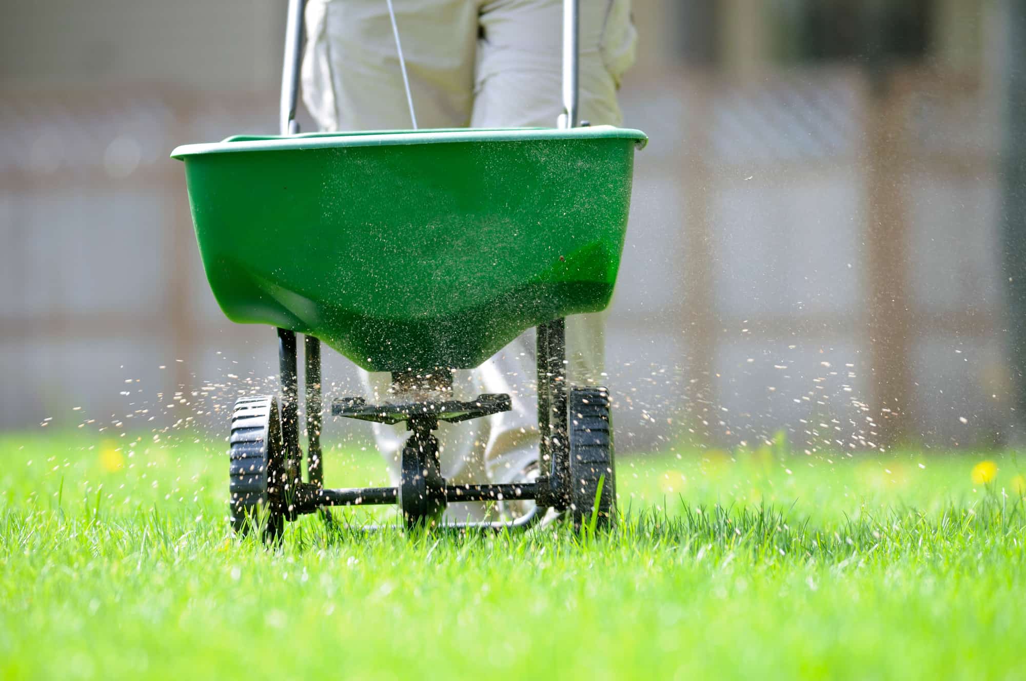 Spring lawn care